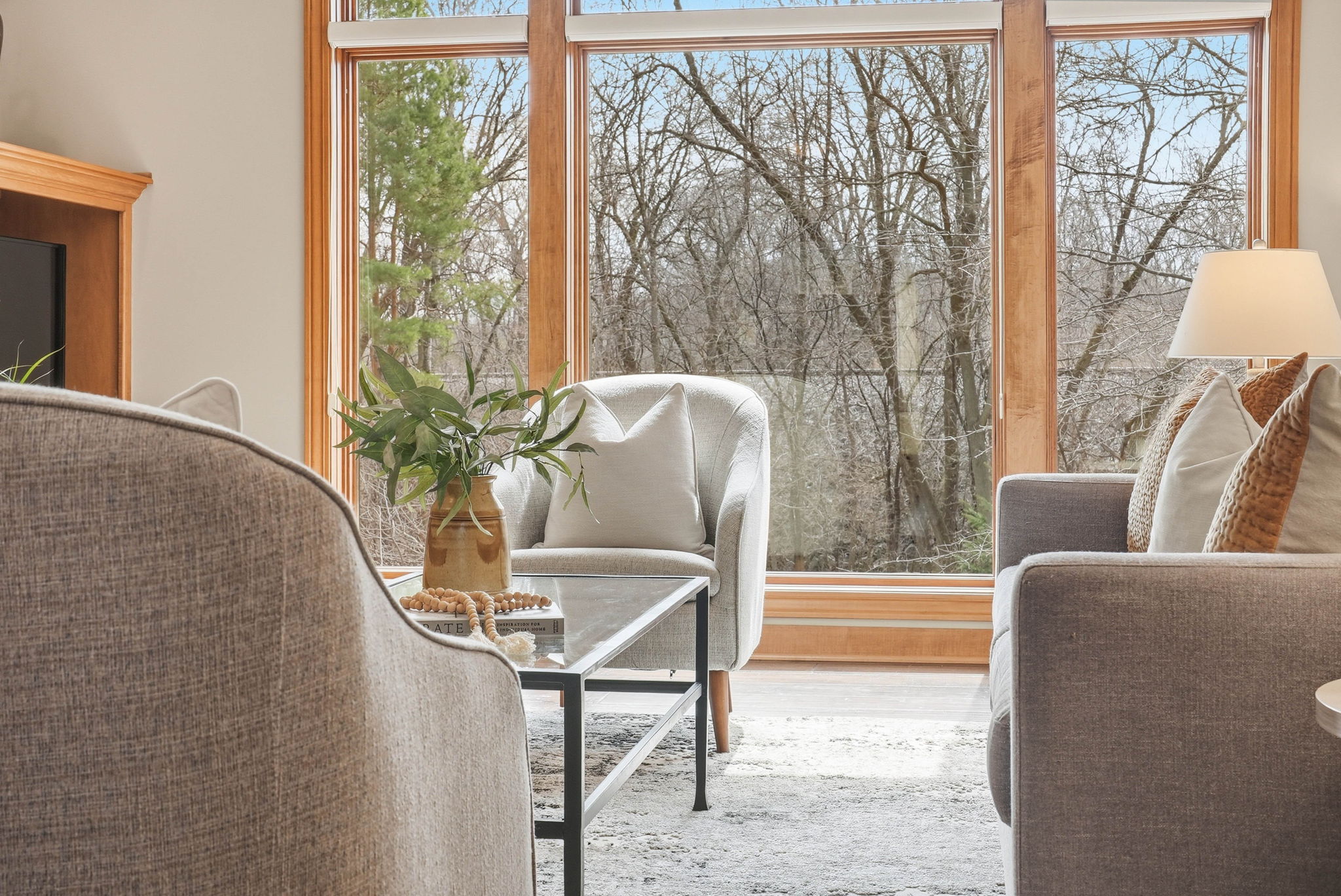Living room interior with large window and view of trees, Arden Hills property listing.